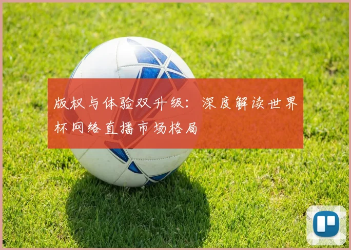 版权与体验双升级：深度解读世界杯网络直播市场格局