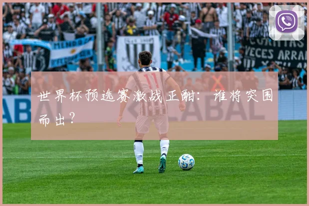 世界杯预选赛激战正酣：谁将突围而出？