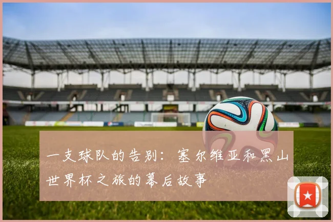 一支球队的告别:塞尔维亚和黑山世界杯之旅的幕后故事