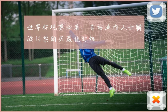 世界杯观赛必看：专访业内人士解读门票购买最佳时机