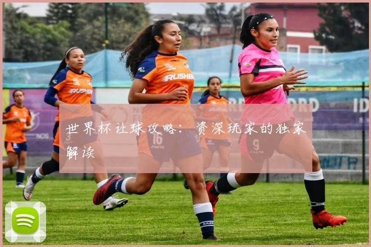 世界杯让球攻略：资深玩家的独家解读