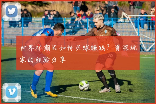 世界杯期间如何买球赚钱？资深玩家的经验分享