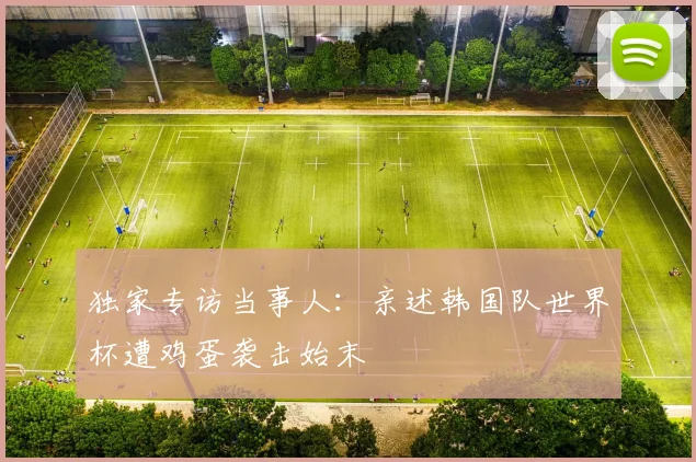 独家专访当事人：亲述韩国队世界杯遭鸡蛋袭击始末