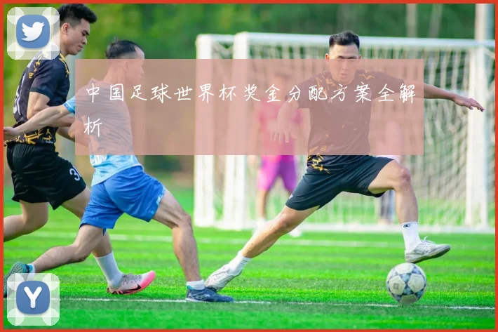 中国足球世界杯奖金分配方案全解析